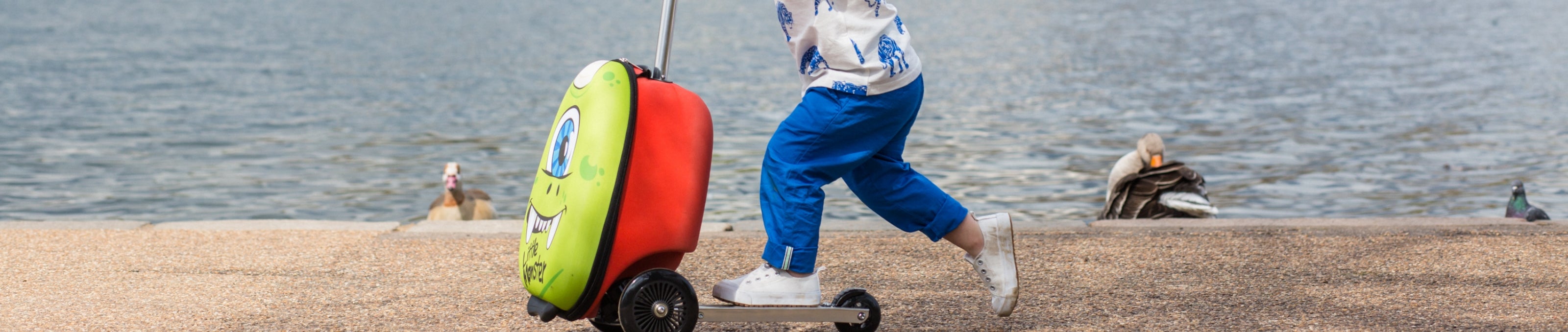 Close up of a Flyte scootcase with monster design and lake in the background.