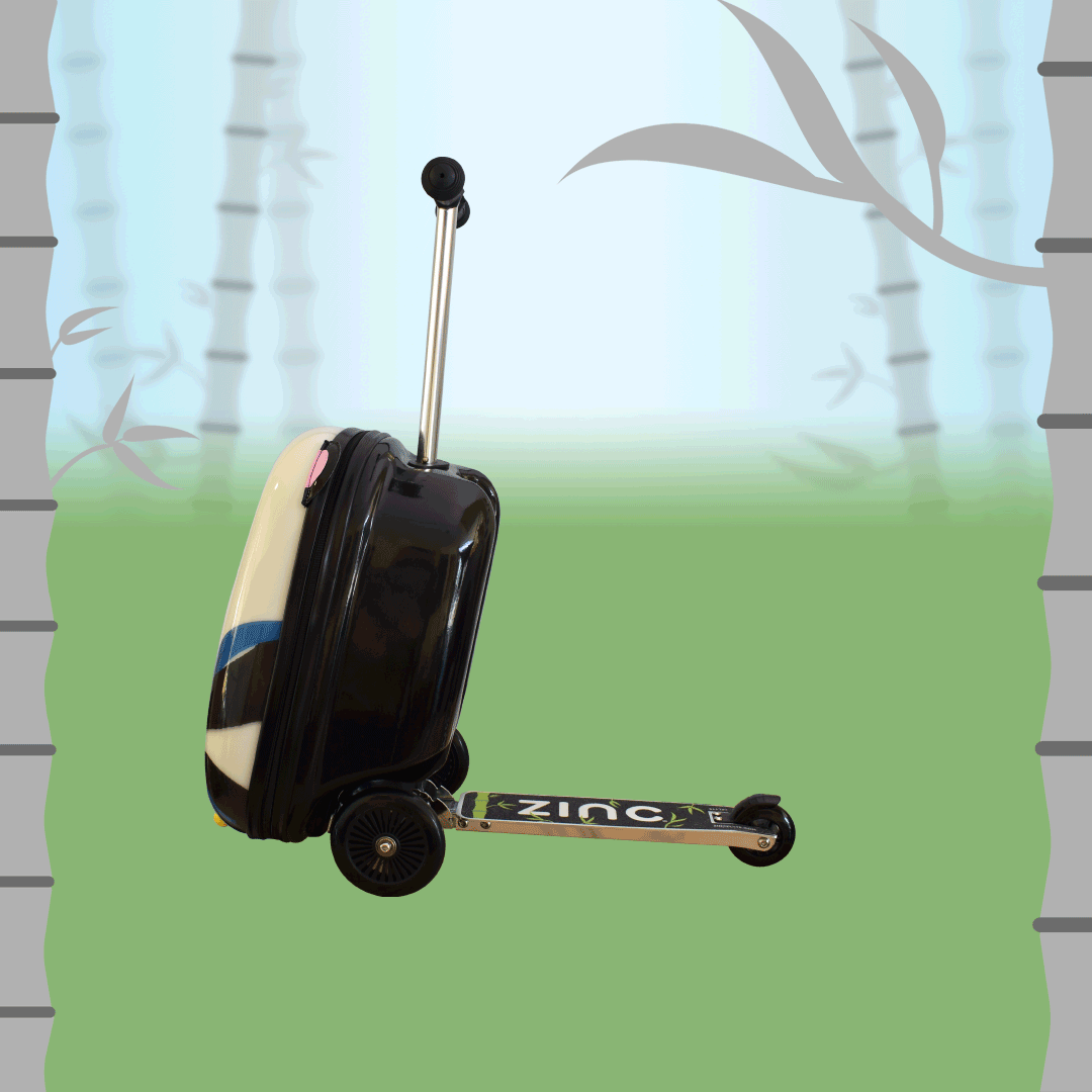 Penni the Panda scooter suitcase showing all sides of the flyte case